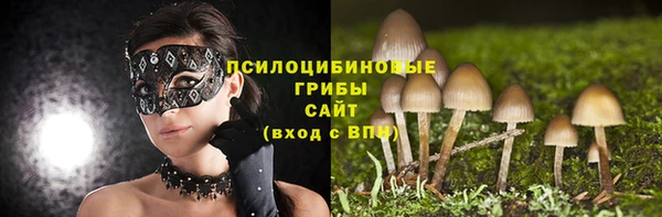 альфа пвп Магас