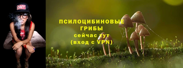 альфа пвп Магас