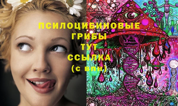 альфа пвп Магас