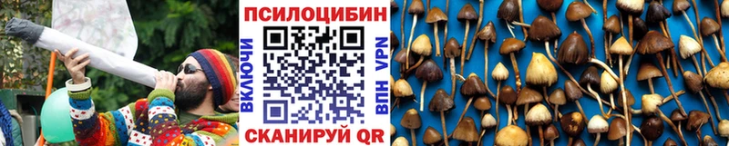 Купить где  Медногорск  Псилоцибиновые грибы Magic Shrooms 