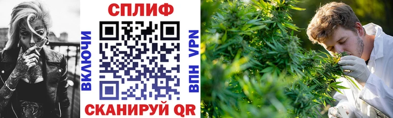 МАРИХУАНА THC 21%  Купить закладки  Медногорск 